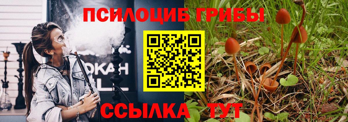 Галлюциногенные грибы Электрогорск