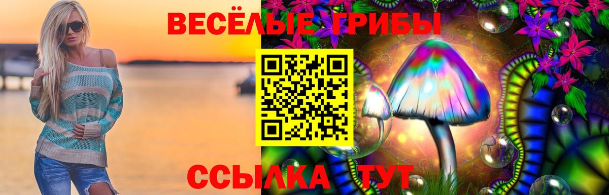 Электрогорск  Псилоцибиновые грибы ЛСД  Галлюциногенные грибы Magic Shrooms  Вход с VPN 